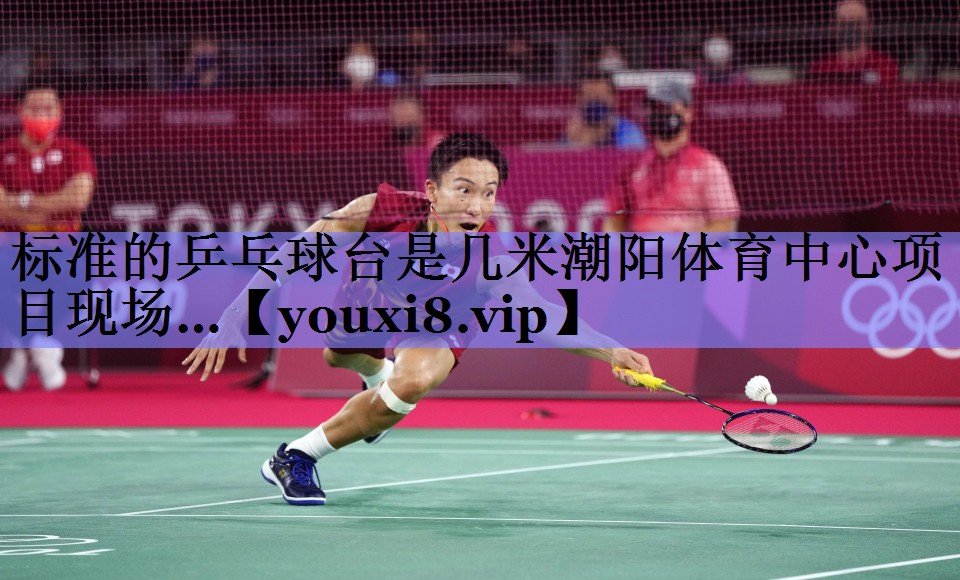 标准的乒乓球台是几米潮阳体育中心项目现场…
