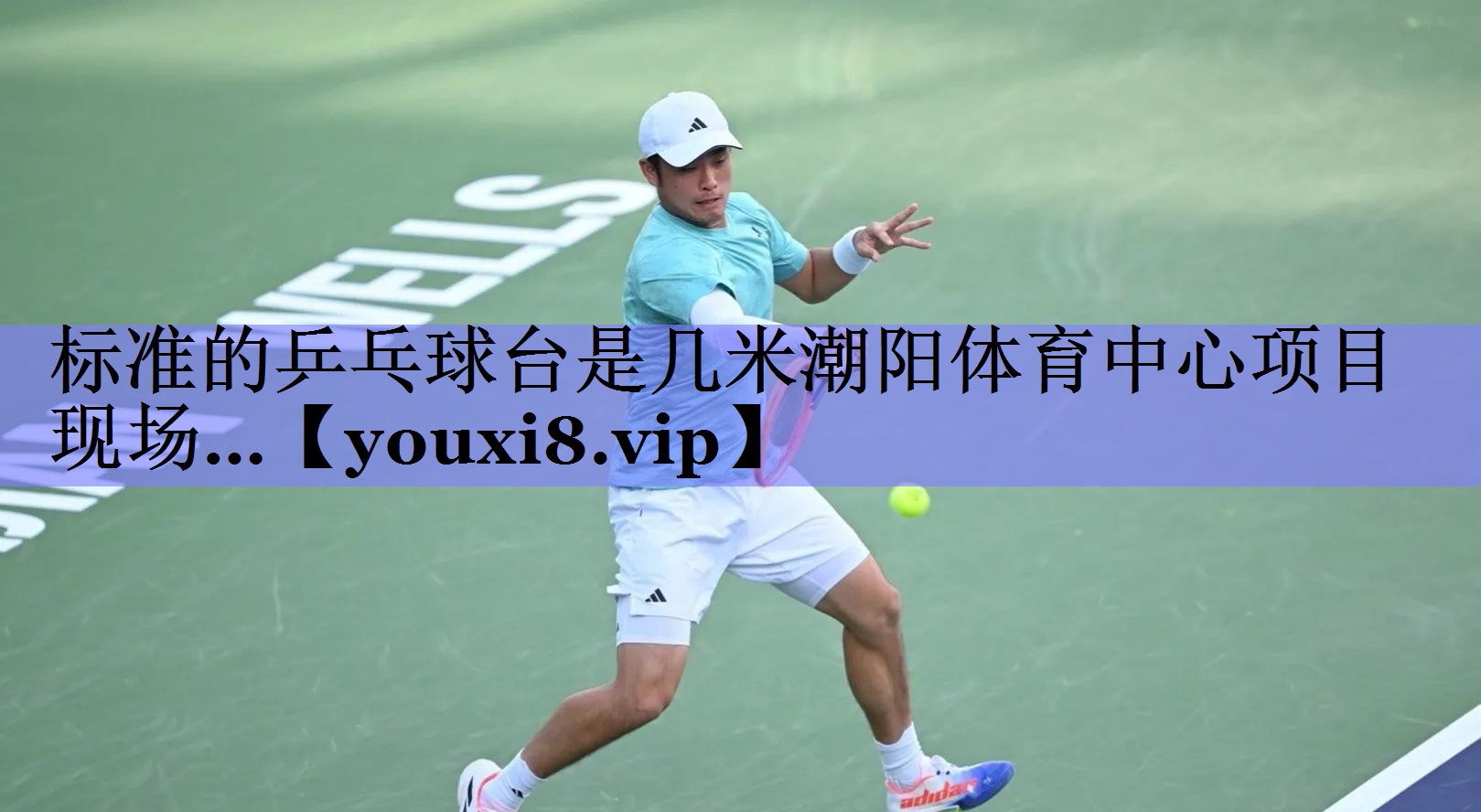 标准的乒乓球台是几米潮阳体育中心项目现场…