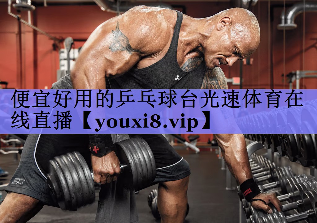 便宜好用的乒乓球台光速体育在线直播