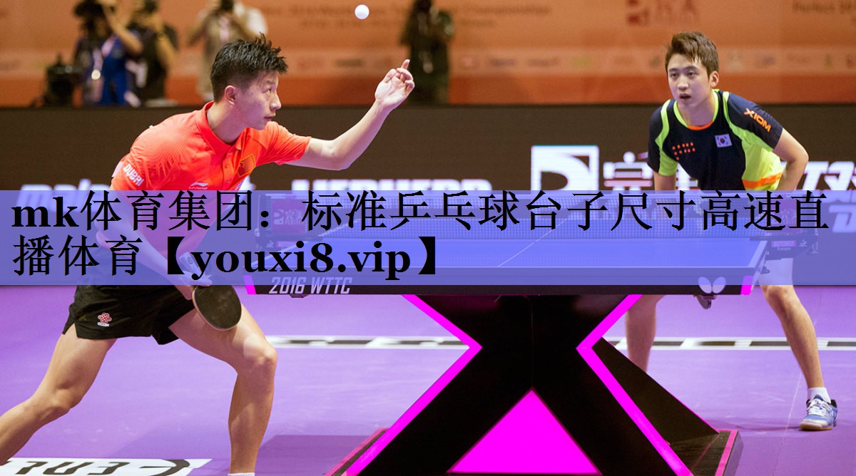 mk体育集团：标准乒乓球台子尺寸高速直播体育