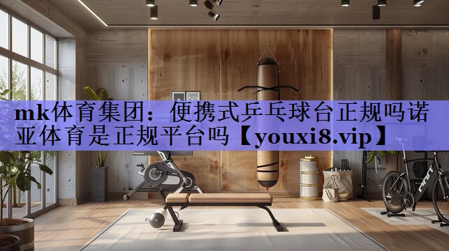mk体育集团：便携式乒乓球台正规吗诺亚体育是正规平台吗