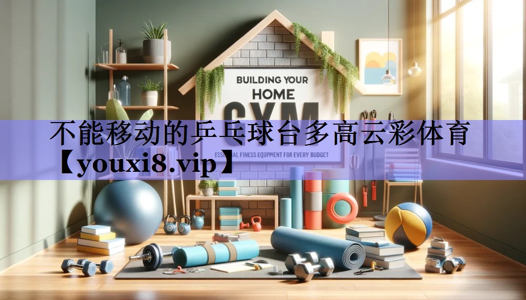 不能移动的乒乓球台多高云彩体育