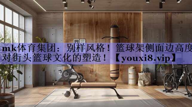 别样风格!篮球架侧面边高度对街头篮球文化的塑造! 别样风格!篮球架侧面边高度对街头篮球文化的塑造!