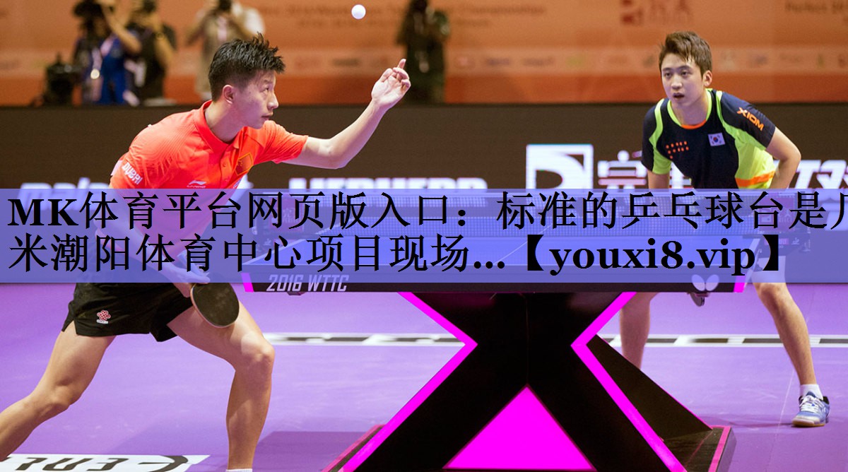 MK体育平台网页版入口：标准的乒乓球台是几米潮阳体育中心项目现场…