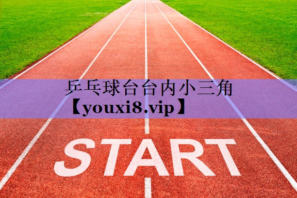 乒乓球台台内小三角 乒乓球台台内小三角