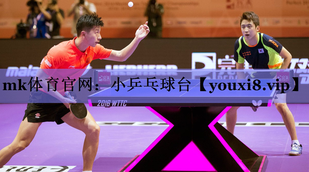 小乒乓球台 小乒乓球台