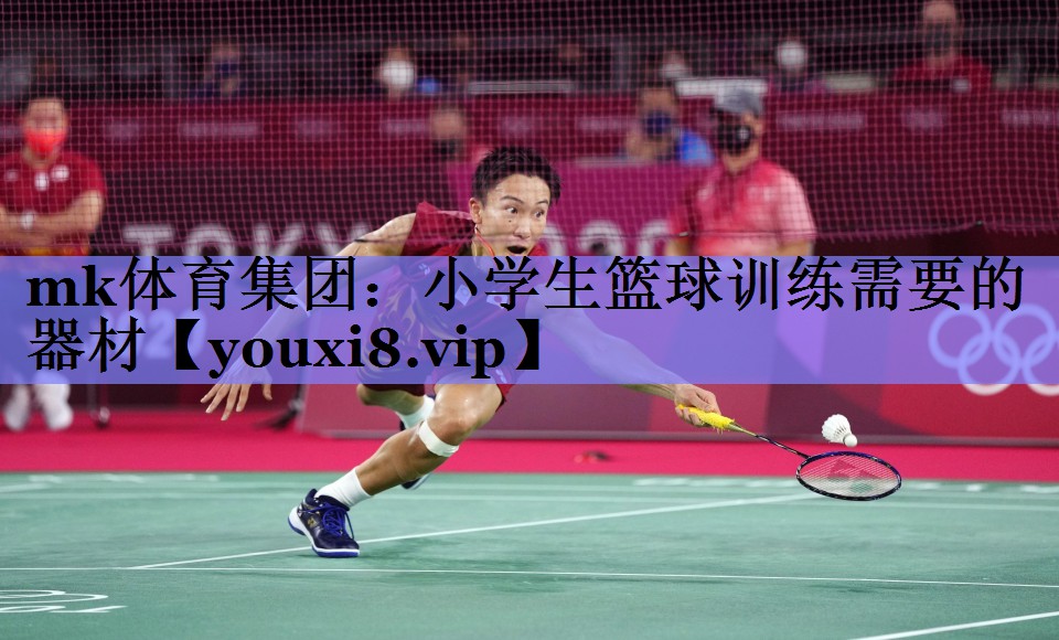 小学生篮球训练需要的器材